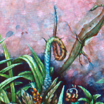 pnat6